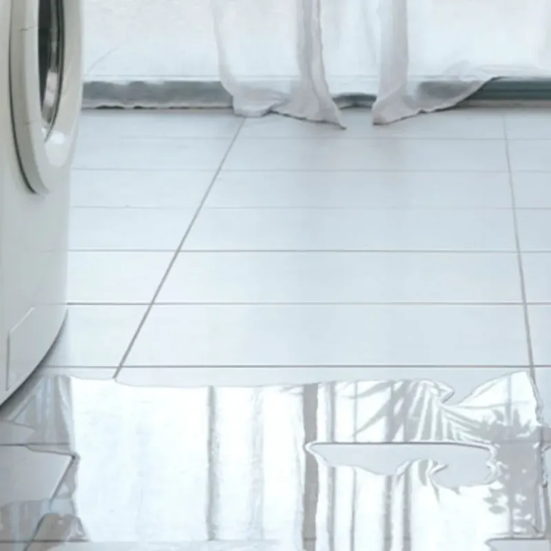 Appliance Leak Cleanup in Baldwin, GA
